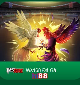 hi88